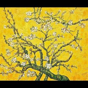 Meet your Posher, Luis